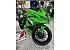 New 2026 Kawasaki Ninja ZX-4RR ABS