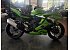 New 2026 Kawasaki Ninja ZX-4RR ABS