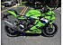 New 2026 Kawasaki Ninja ZX-4RR