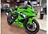 New 2026 Kawasaki Ninja ZX-4RR ABS