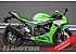 New 2026 Kawasaki Ninja ZX-6R