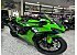 New 2026 Kawasaki Ninja ZX-6R ABS