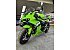 New 2026 Kawasaki Ninja ZX-6R ABS