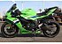 New 2026 Kawasaki Ninja ZX-6R