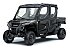 New 2026 Kawasaki Ridge