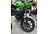 New 2026 Kawasaki W175