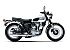 New 2026 Kawasaki W800