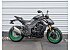 New 2026 Kawasaki Z1100