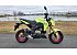 New 2026 Kawasaki Z125 Pro