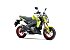 New 2026 Kawasaki Z125 Pro