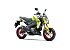 New 2026 Kawasaki Z125 Pro