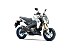 New 2026 Kawasaki Z125 Pro