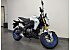 New 2026 Kawasaki Z125 Pro