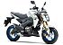 New 2026 Kawasaki Z125 Pro