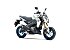 New 2026 Kawasaki Z125 Pro