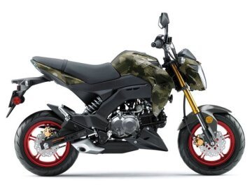 New 2026 Kawasaki Z125 Pro