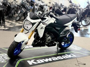 New 2026 Kawasaki Z125 Pro