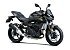 New 2026 Kawasaki Z500