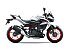 New 2026 Kawasaki Z500