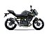 New 2026 Kawasaki Z500 ABS