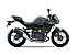 New 2026 Kawasaki Z500