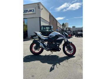 2026 Kawasaki Z500