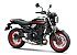 New 2026 Kawasaki Z650