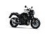 New 2026 Kawasaki Z900 RS ABS