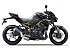 New 2026 Kawasaki Z900
