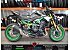 New 2026 Kawasaki Z900