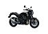 New 2026 Kawasaki Z900