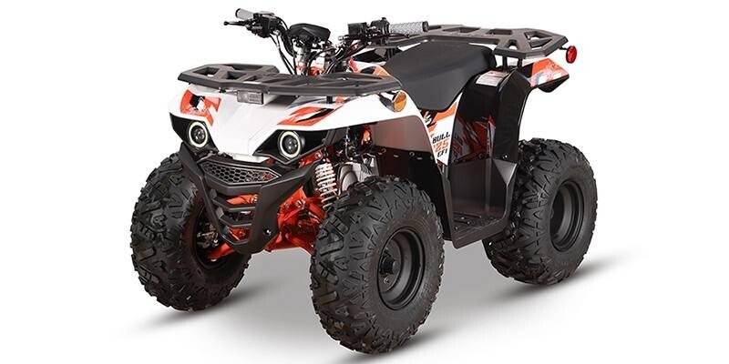 New 2026 Kayo Bull 125