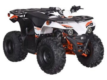 New 2026 Kayo Bull 110