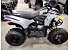 New 2026 Polaris Phoenix 200