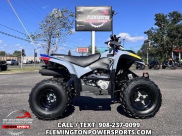 New 2026 Polaris Phoenix 200