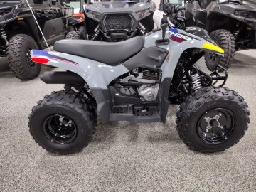 New 2026 Polaris Phoenix 200