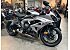 New 2026 Triumph Daytona 660