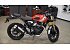 New 2026 Triumph Scrambler