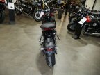 Thumbnail Photo 2 for New 2026 Triumph Trident 660
