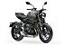 New 2026 Triumph Trident 660