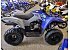 New 2026 Yamaha Grizzly 110