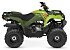 New 2026 Yamaha Grizzly 110