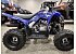New 2026 Yamaha Raptor 110