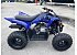 New 2026 Yamaha Raptor 110
