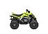 New 2026 Yamaha Raptor 110