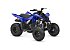 New 2026 Yamaha Raptor 110