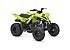 New 2026 Yamaha Raptor 110