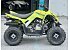 2026 Yamaha Raptor 110