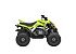 New 2026 Yamaha Raptor 110