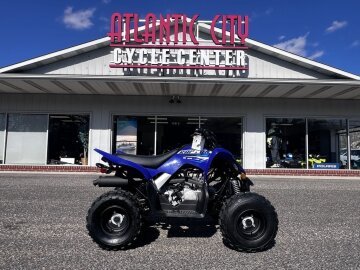 New 2026 Yamaha Raptor 110